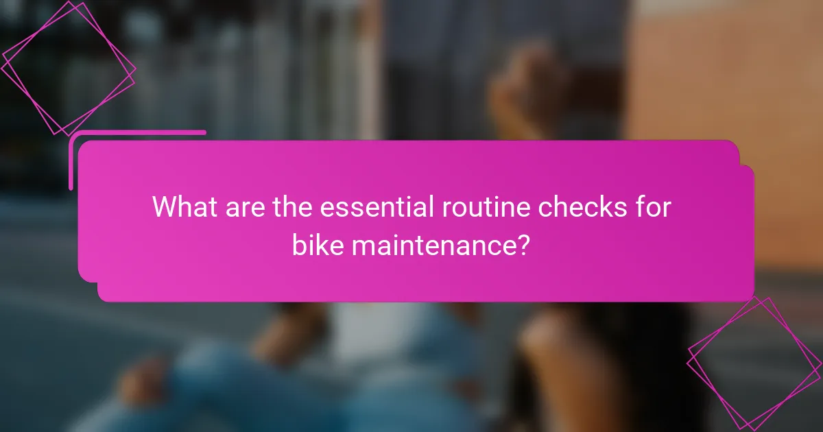 What are the essential routine checks for bike maintenance?