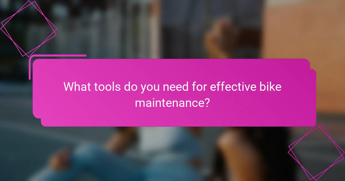 What tools do you need for effective bike maintenance?