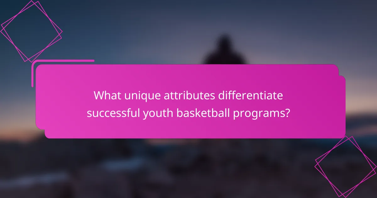 What unique attributes differentiate successful youth basketball programs?