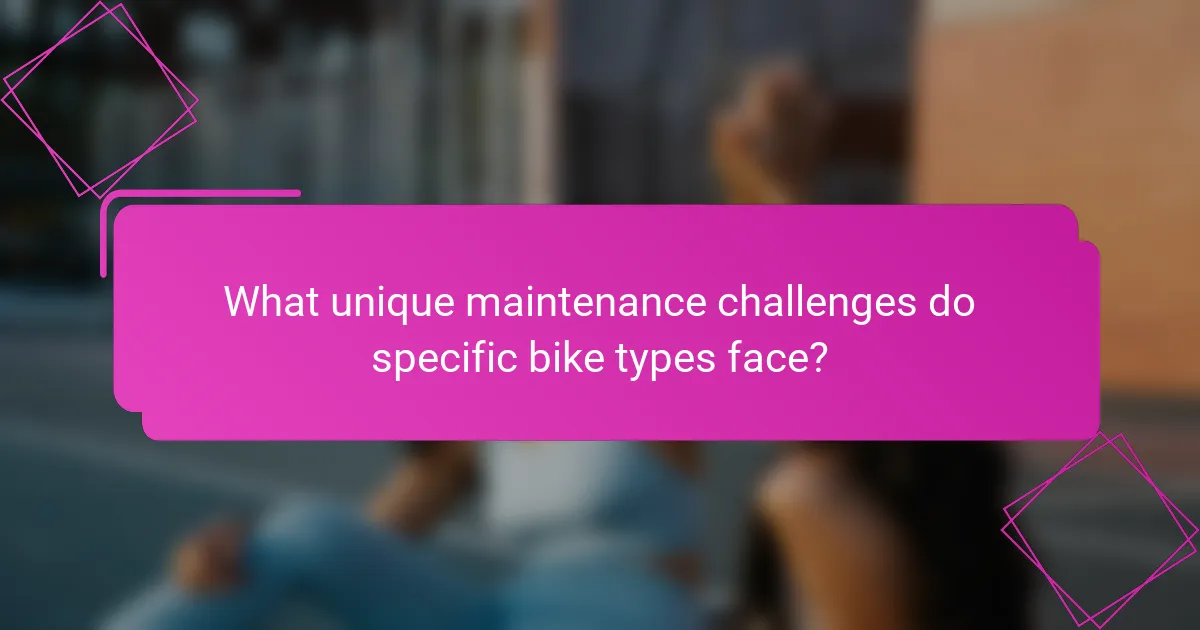 What unique maintenance challenges do specific bike types face?